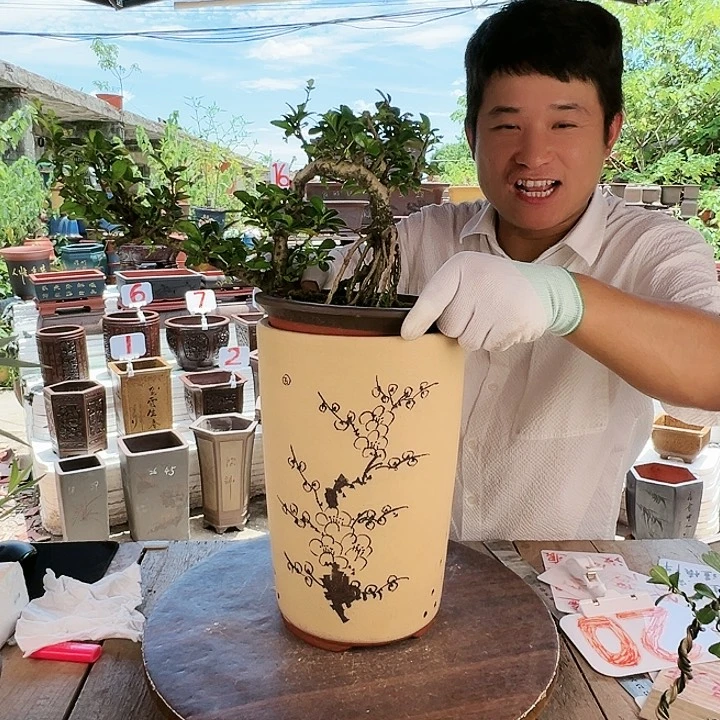 紫砂20CM（含）-50CM（不含）