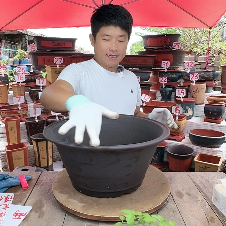 紫砂20CM（含）-50CM（不含）