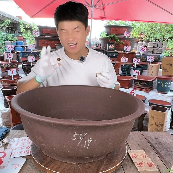紫砂20CM（含）-50CM（不含）