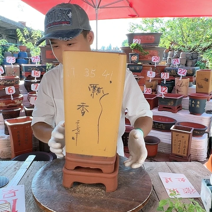 紫砂20CM(含)-50CM(不含)