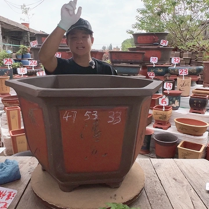 紫砂20CM（含）-50CM（不含）