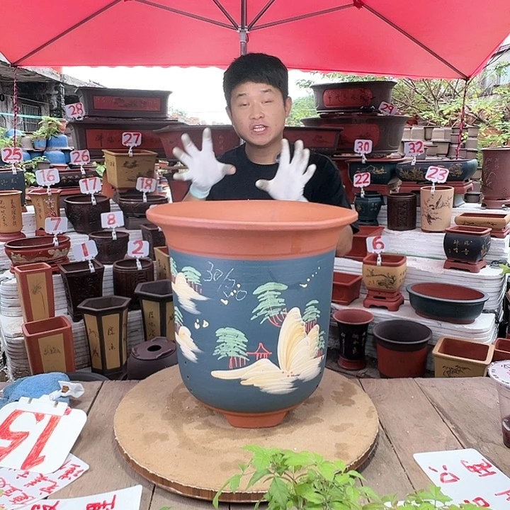 紫砂20CM（含）-50CM（不含）