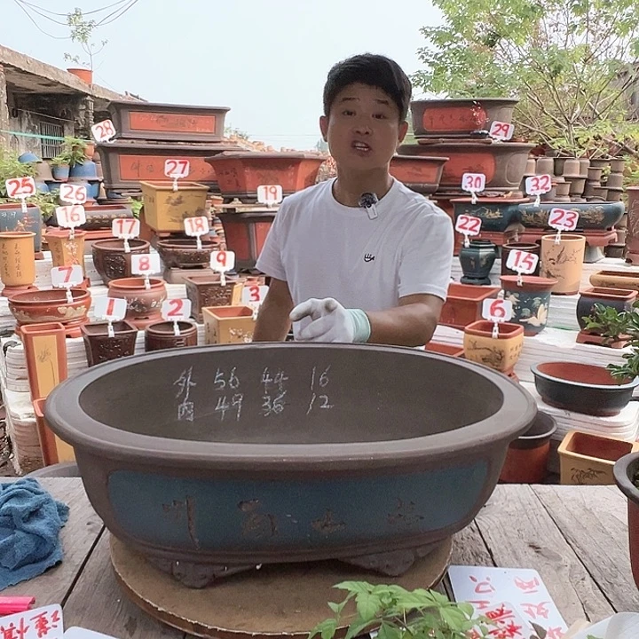 紫砂20CM（含）-50CM（不含）