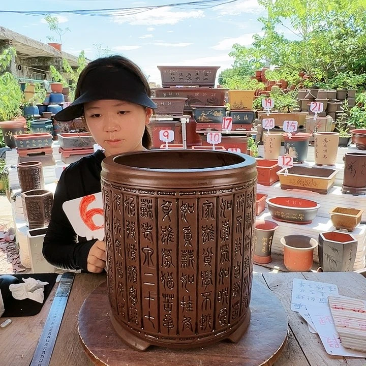 紫砂20CM(含)-50CM(不含)