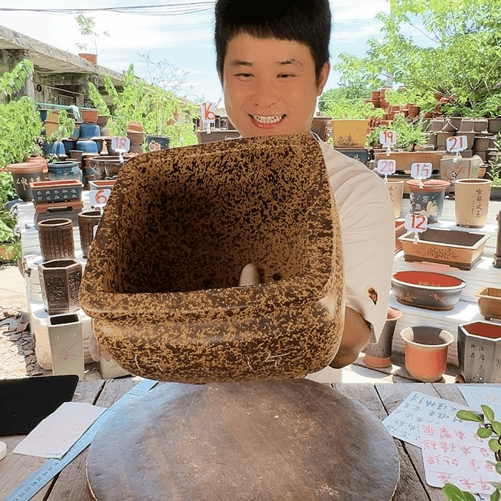 紫砂20CM（含）-50CM（不含）