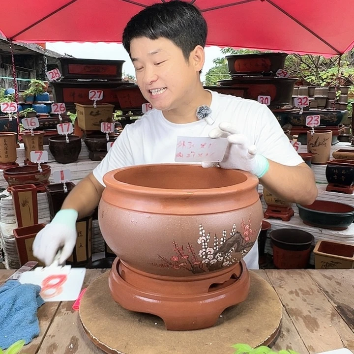 紫砂20CM（含）-50CM（不含）