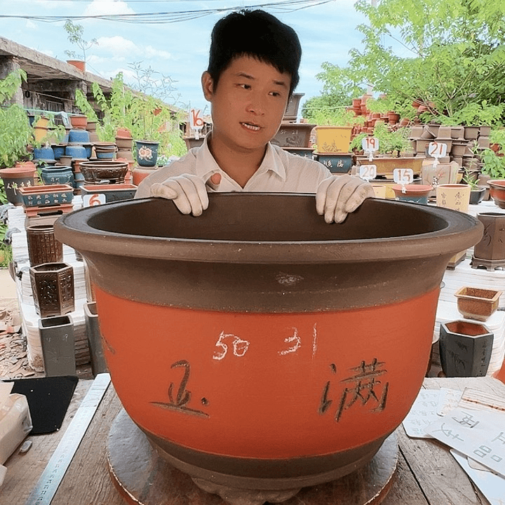 紫砂20CM（含）-50CM（不含）