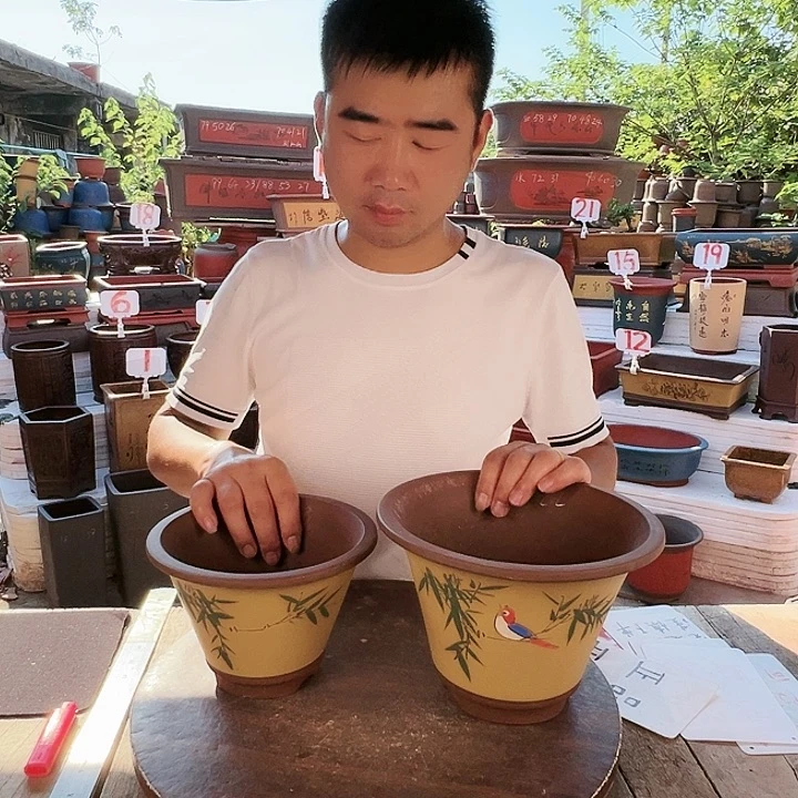 紫砂20CM（含）-50CM（不含）