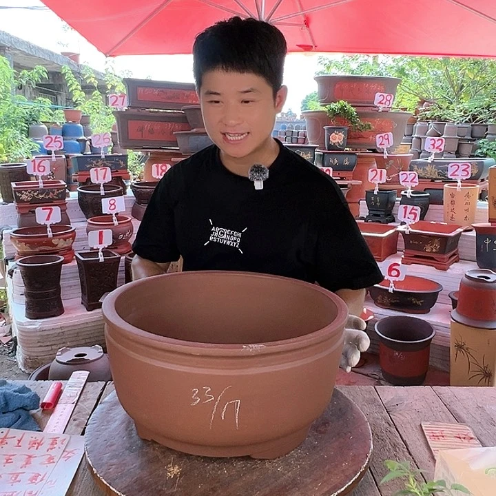 紫砂20CM（含）-50CM（不含）