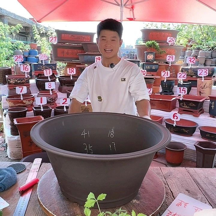 紫砂20CM（含）-50CM（不含）