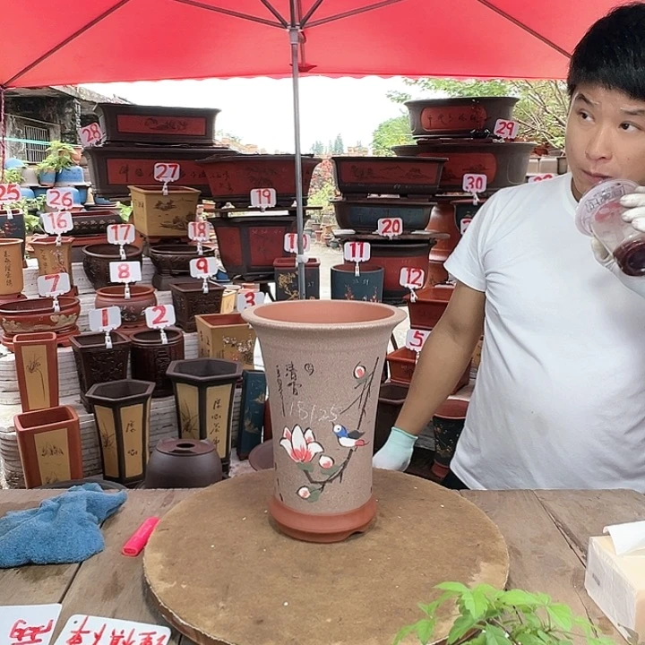 紫砂20CM（含）-50CM（不含）