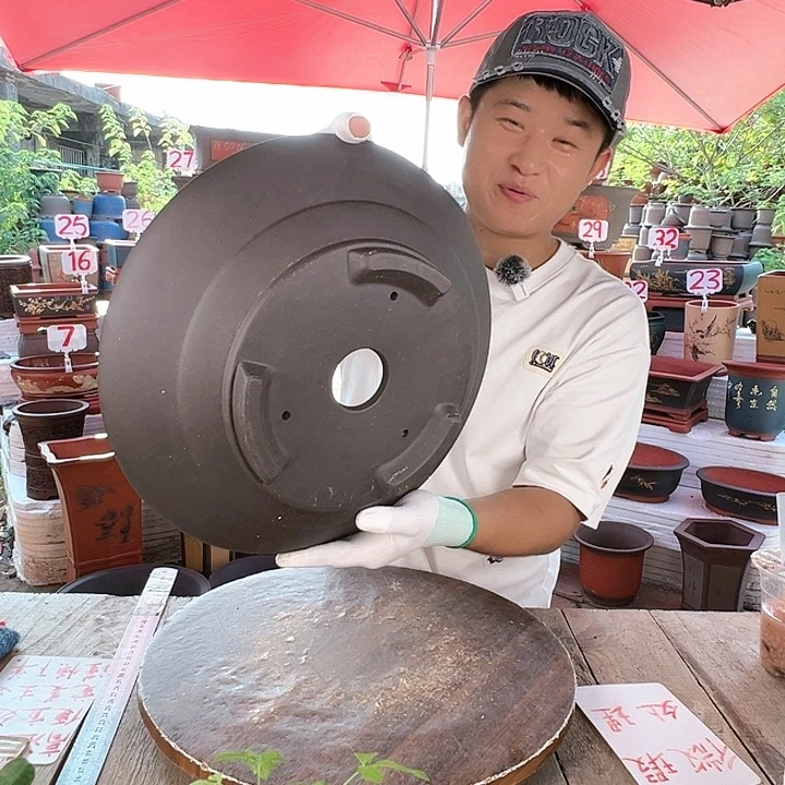 紫砂20CM（含）-50CM（不含）