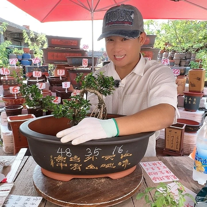 紫砂20CM（含）-50CM（不含）