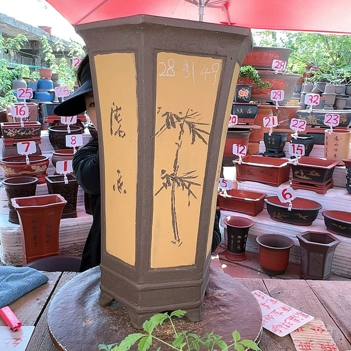 紫砂20CM（含）-50CM（不含）