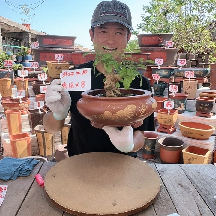 紫砂20CM（含）-50CM（不含）