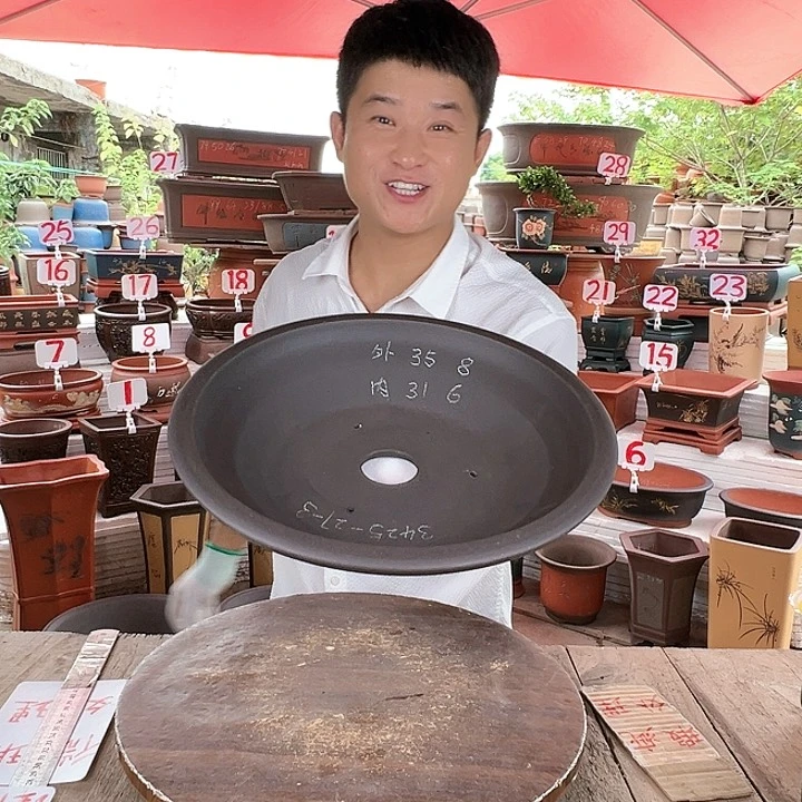 紫砂20CM（含）-50CM（不含）