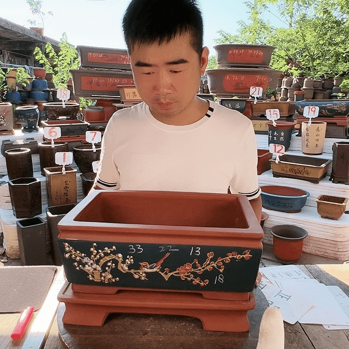 紫砂20CM（含）-50CM（不含）