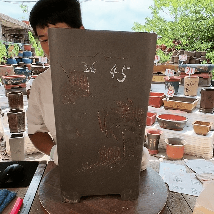 紫砂20CM（含）-50CM（不含）