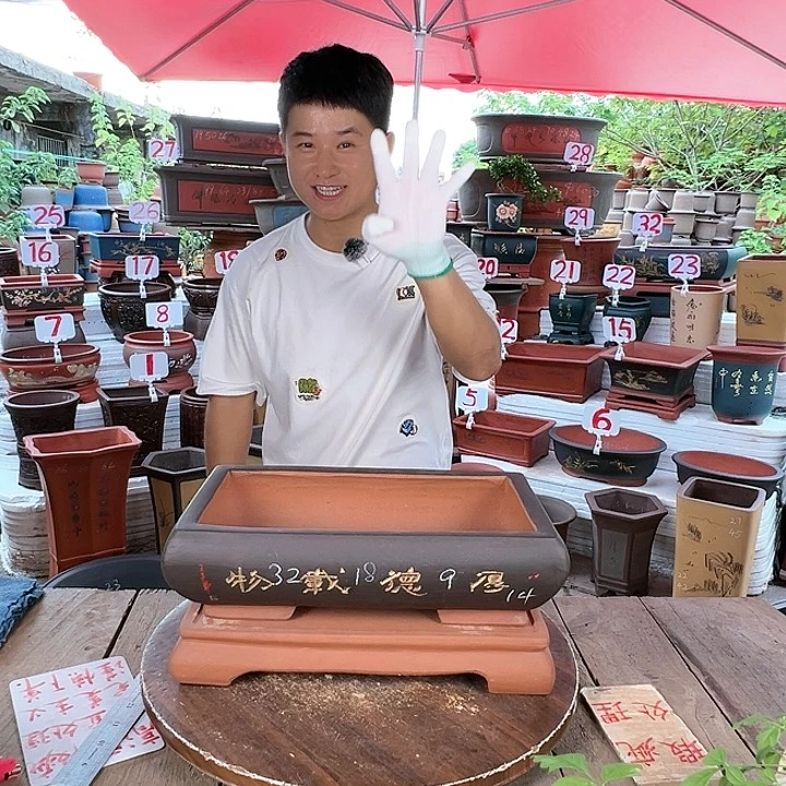 紫砂20CM（含）-50CM（不含）