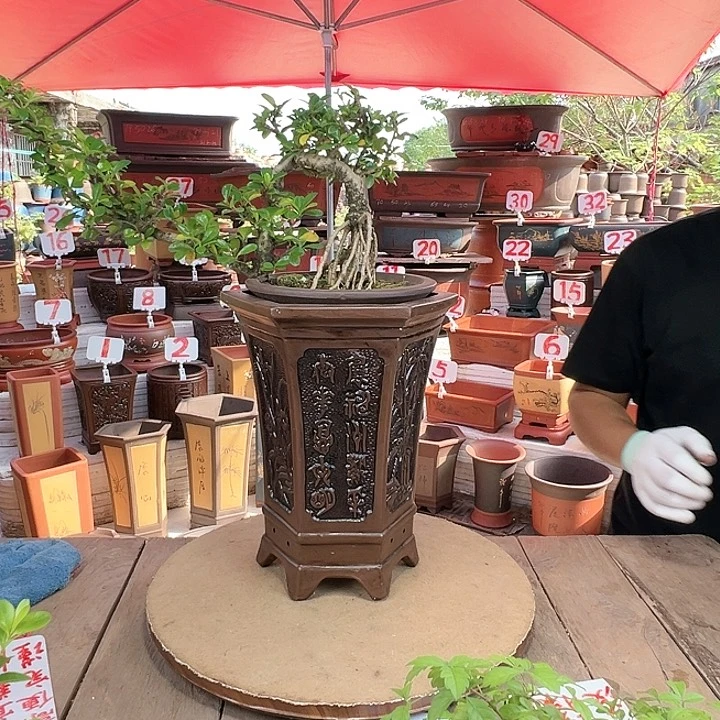 紫砂20CM（含）-50CM（不含）