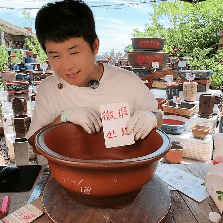 紫砂20CM（含）-50CM（不含）