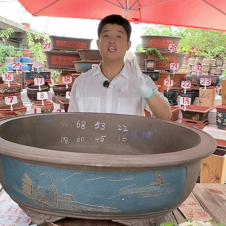 紫砂20CM(含)-50CM(不含)