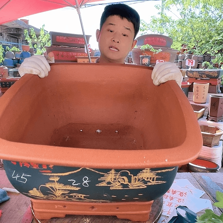 紫砂20CM（含）-50CM（不含）