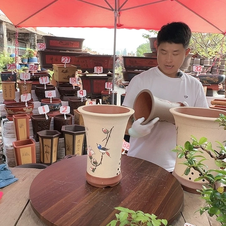 紫砂20CM（含）-50CM（不含）