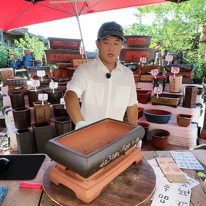 紫砂20CM（含）-50CM（不含）