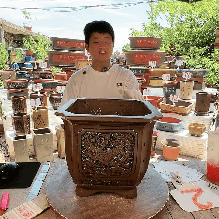 紫砂20CM（含）-50CM（不含）