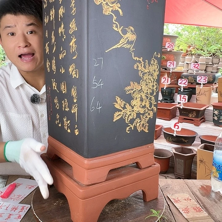 紫砂20CM(含)-50CM(不含)