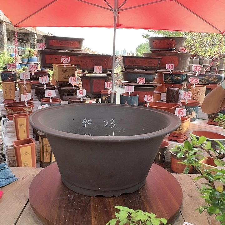 紫砂20CM（含）-50CM（不含）