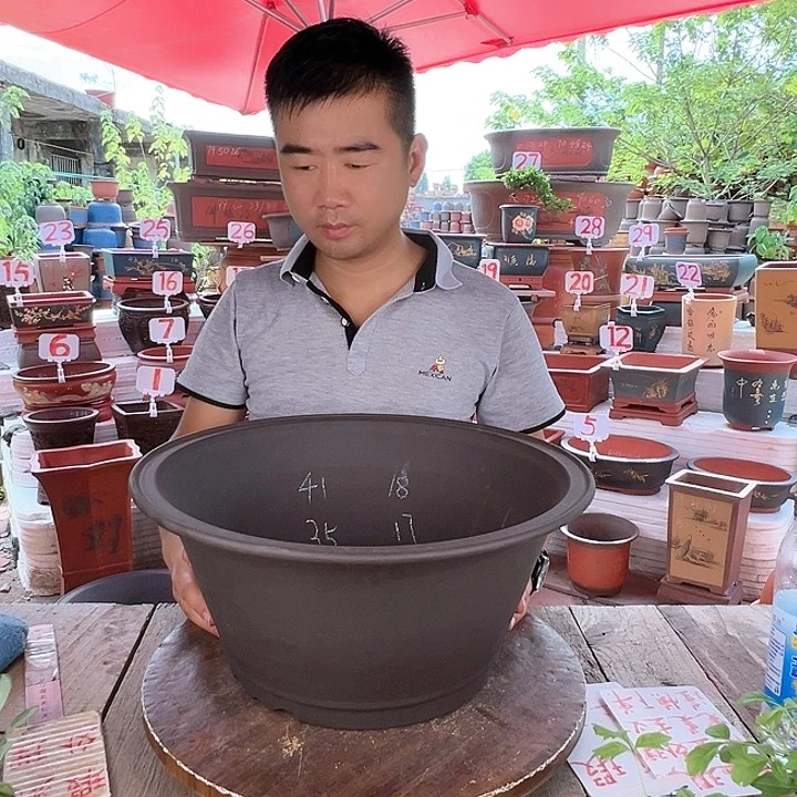 紫砂20CM（含）-50CM（不含）