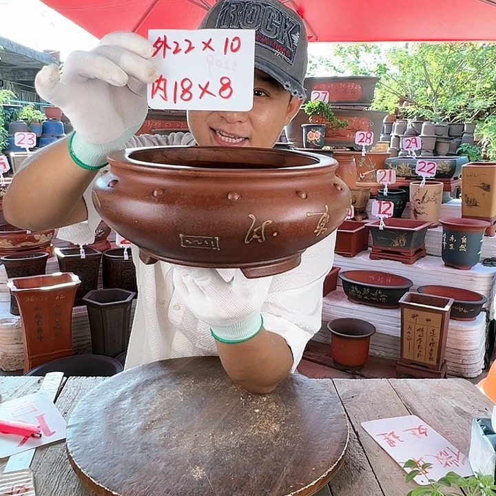紫砂20CM（含）-50CM（不含）