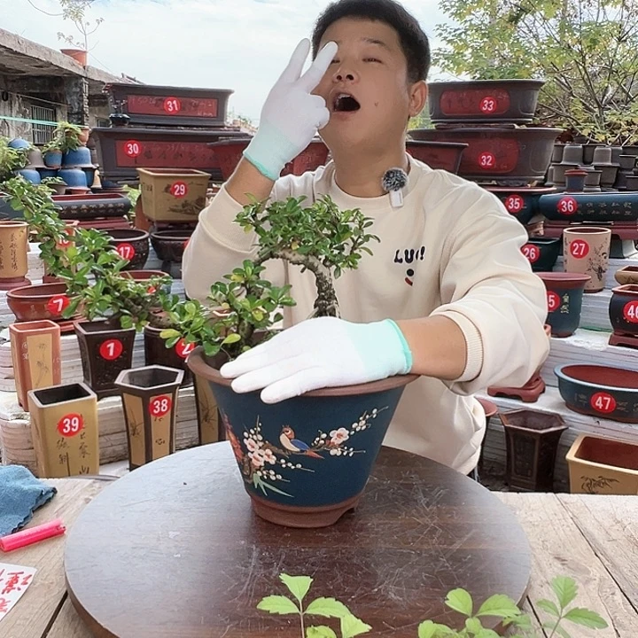紫砂源头工厂直发