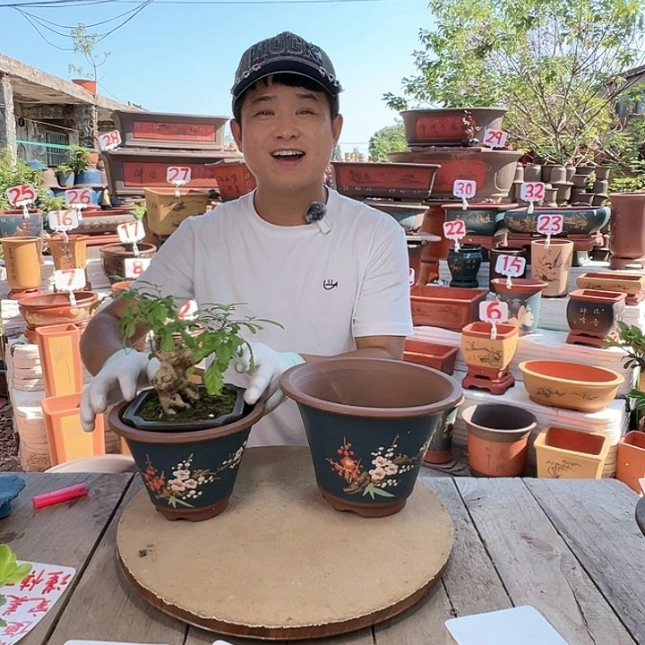 紫砂20CM（含）-50CM（不含）