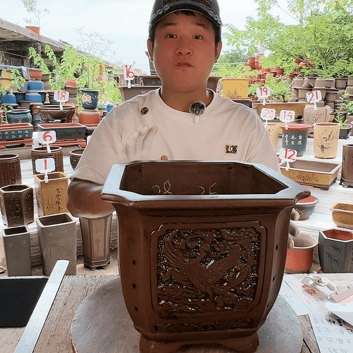 紫砂20CM（含）-50CM（不含）