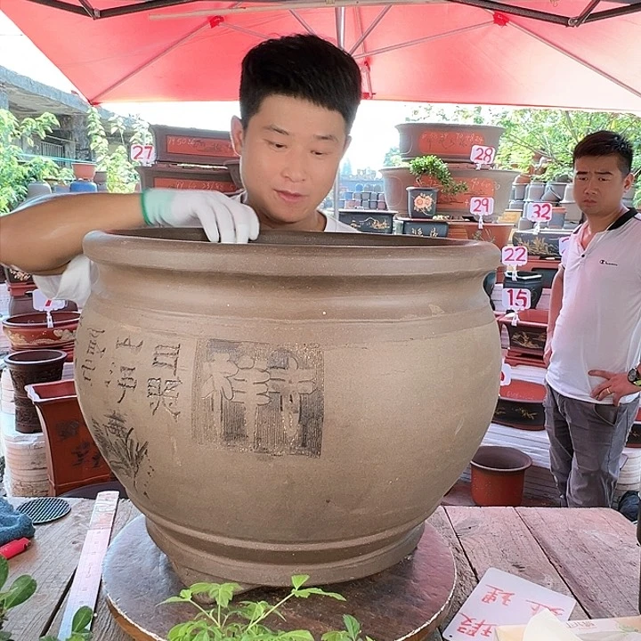 紫砂20CM（含）-50CM（不含）