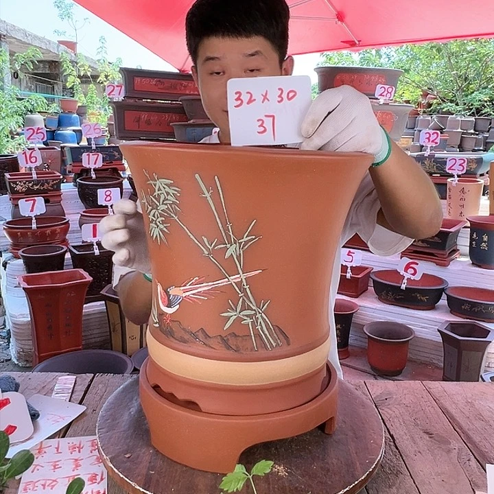 紫砂20CM（含）-50CM（不含）