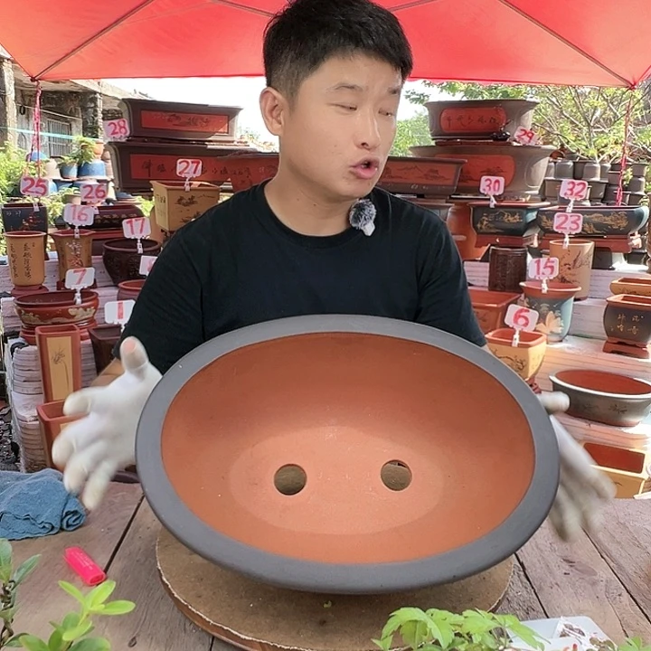 紫砂20CM（含）-50CM（不含）