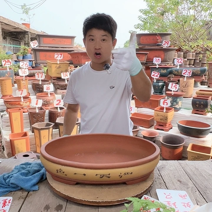 紫砂20CM（含）-50CM（不含）