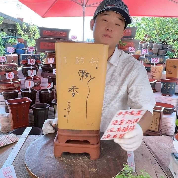 紫砂20CM（含）-50CM（不含）