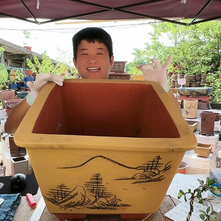 紫砂20CM(含)-50CM(不含)傅*琪