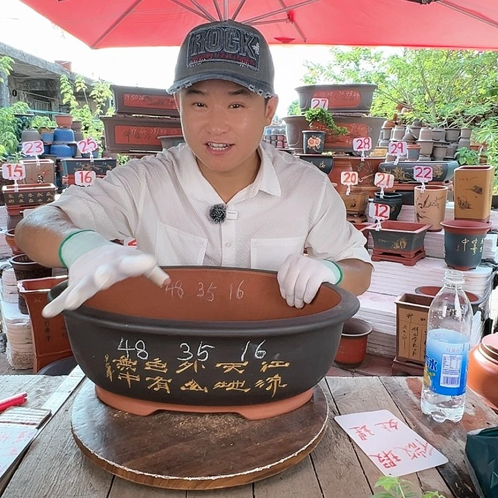 紫砂20CM（含）-50CM（不含）