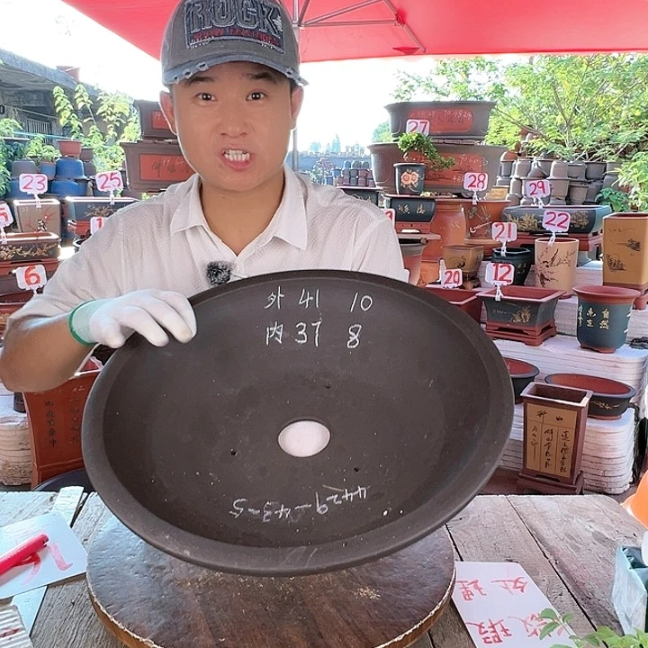 紫砂20CM（含）-50CM（不含）