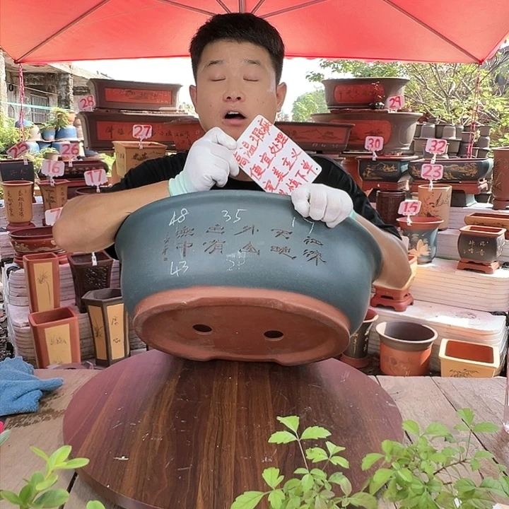 紫砂20CM（含）-50CM（不含）