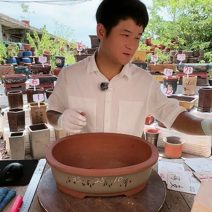 紫砂20CM（含）-50CM（不含）