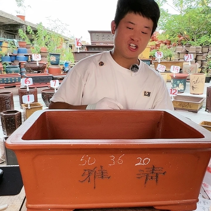 紫砂20CM（含）-50CM（不含）