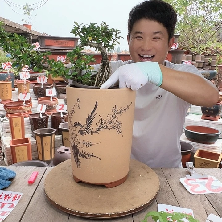 紫砂20CM（含）-50CM（不含）
