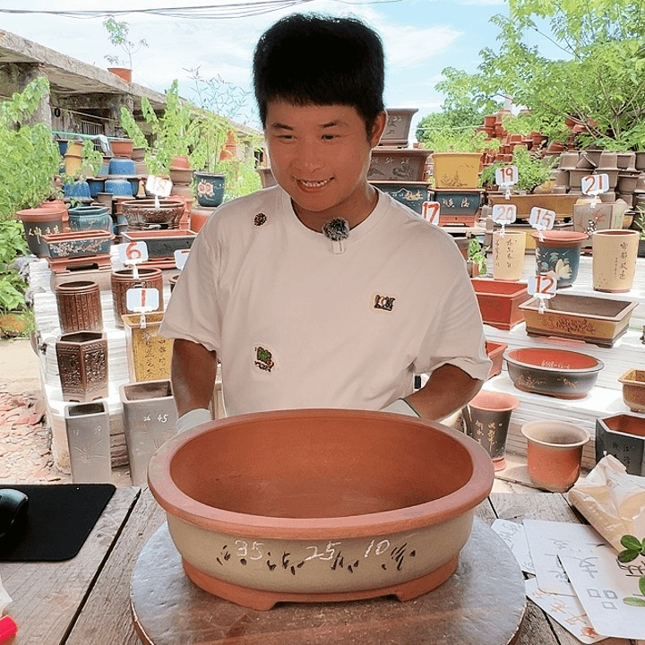 紫砂20CM（含）-50CM（不含）